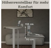 Elektrisch Höhenverstellbarer Schreibtisch mit Silbernem Gestell und Oberteil Grau 120x60